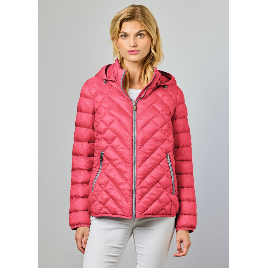 Junge Naja Kv. 62 38-Raspberry